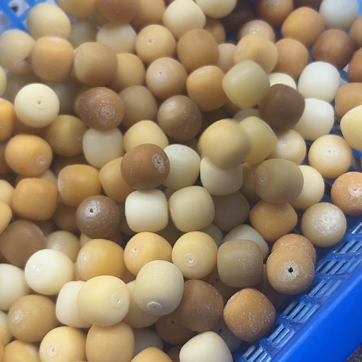 吊坠菩提根/象牙果