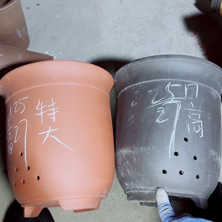 红陶紫砂紫砂紫砂