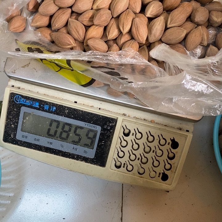 吊坠橄榄核抖***者這是我