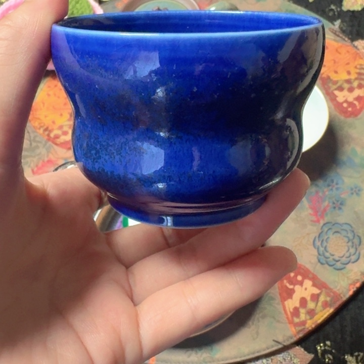 熠羽毛球的杯杯杯