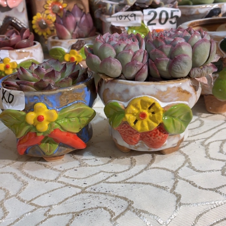 多肉花盆满15包邮，爱退款拉黑