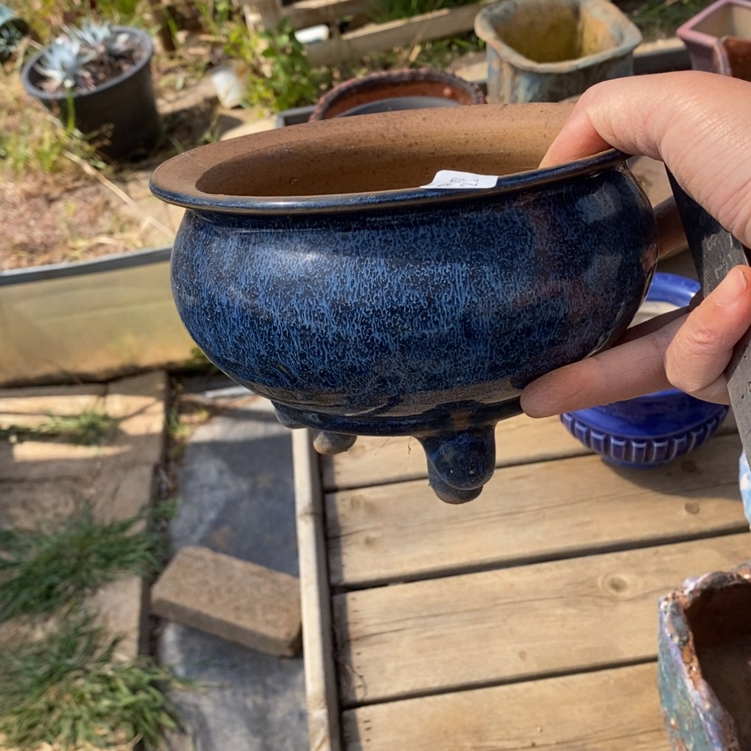 红陶喵*二15号多肉盆一个呀