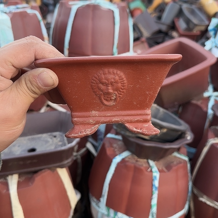 是一个不知名作家与著名导演兼电影演员们之间