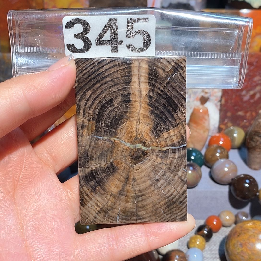 未镶嵌天然北票硅化玉吊坠硅化玉