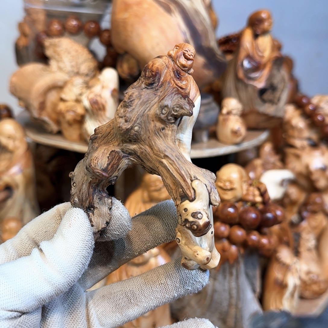 柏木（崖柏）66666666666666