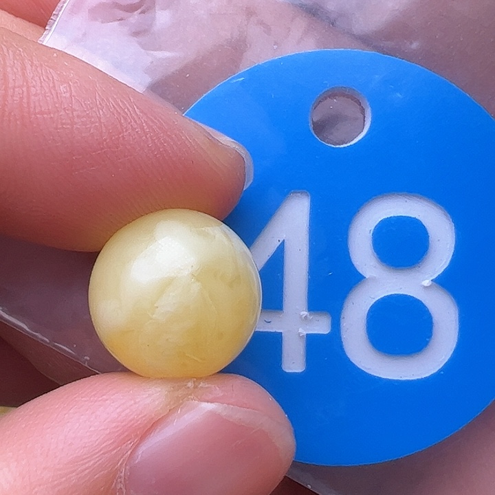 蜜蜡裸石未镶嵌12.5m m