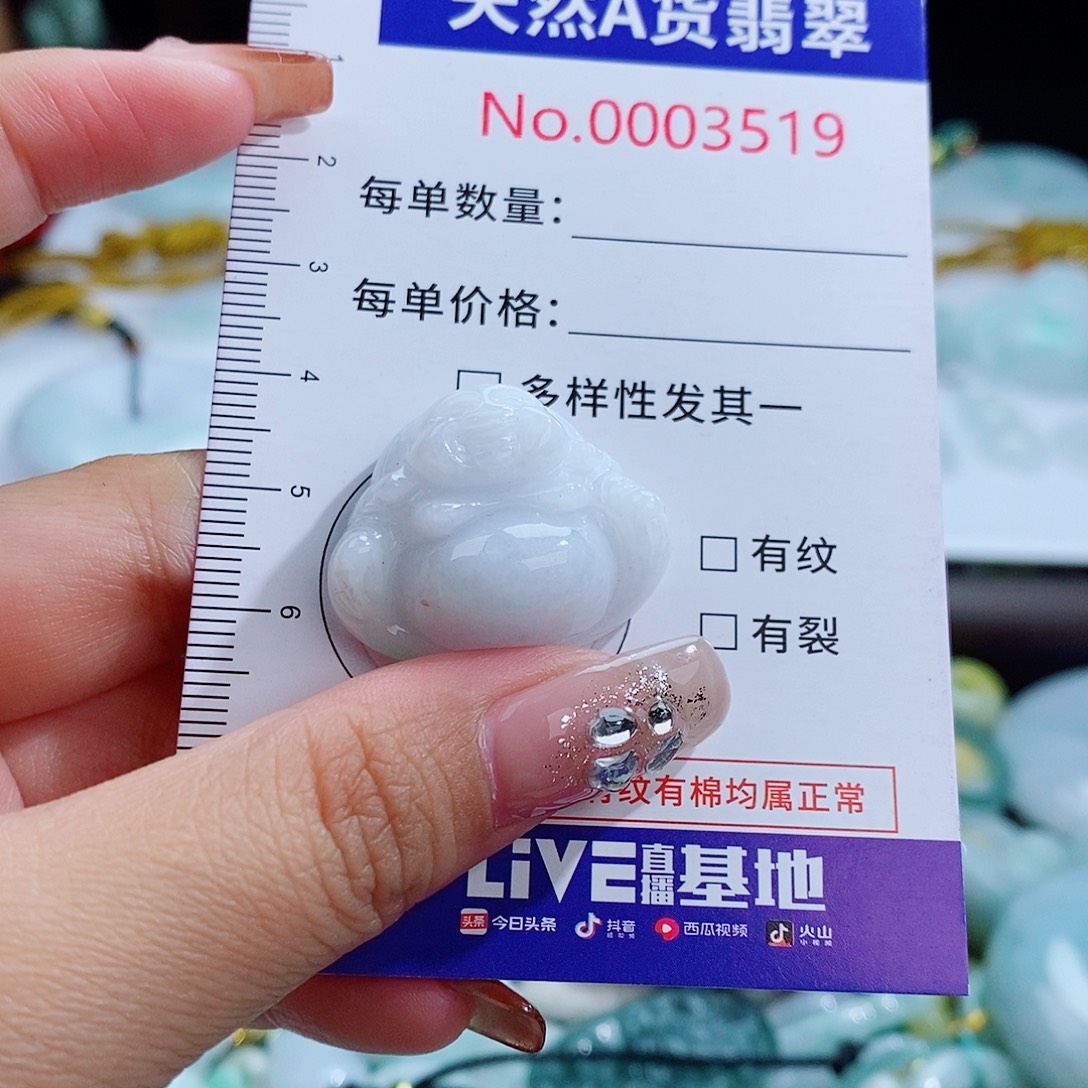 翡翠未镶嵌颈饰3519