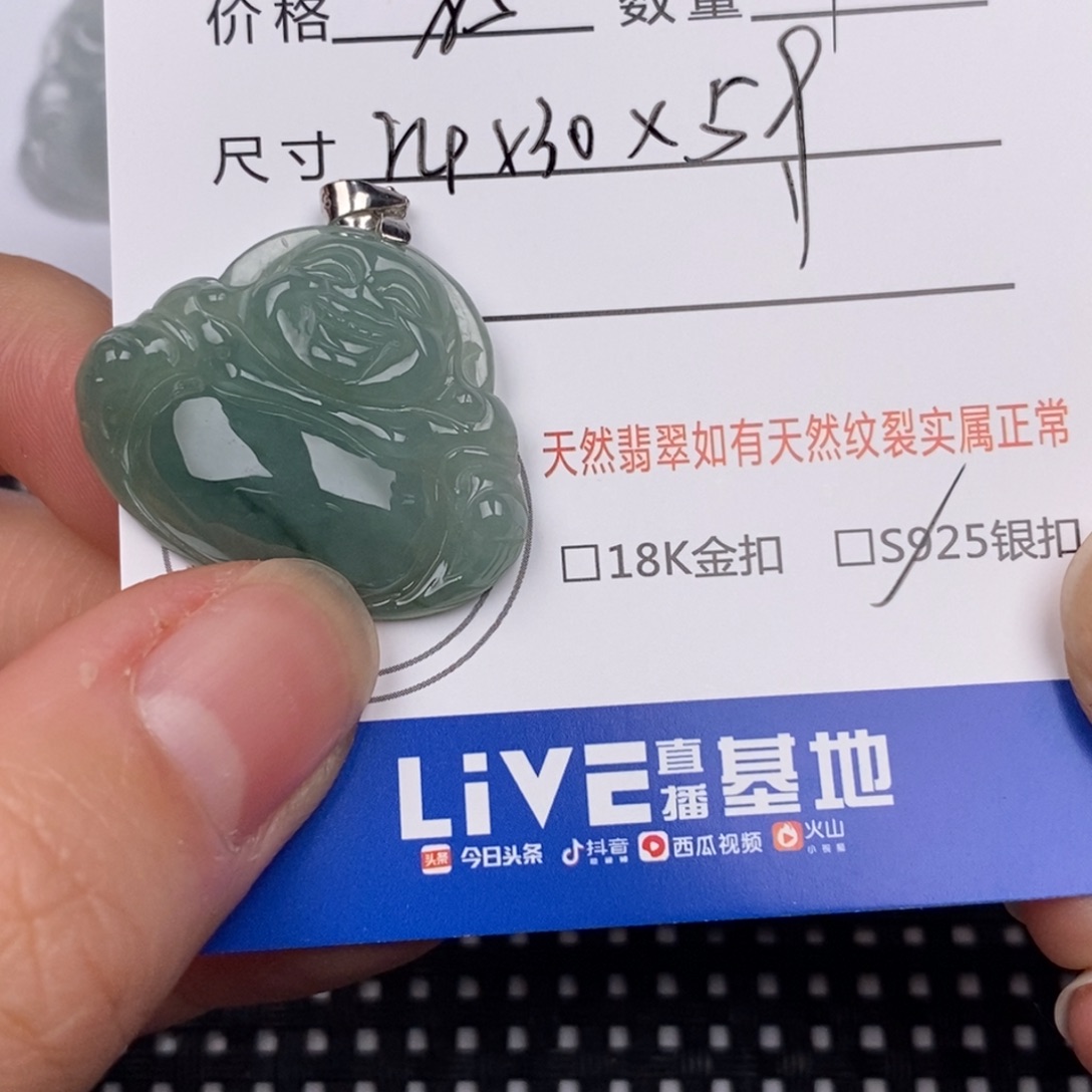 翡翠银S925镶嵌颈饰