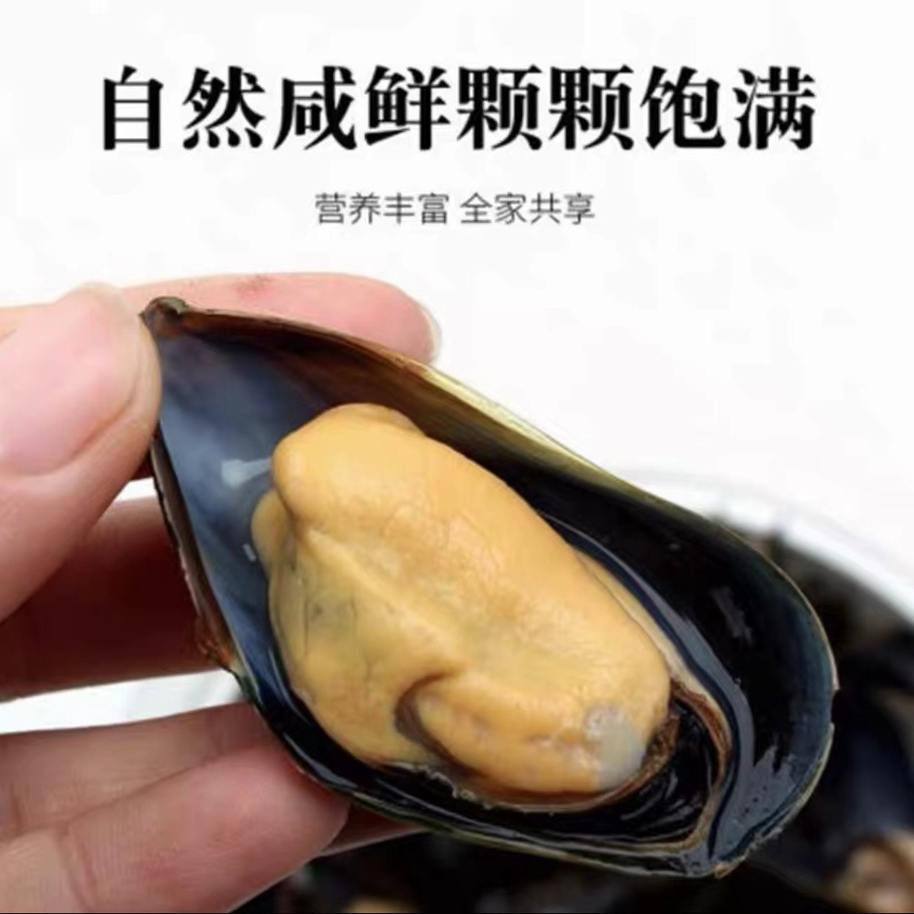 特大青口贝贻贝（鲜活发货）顺丰包邮到家