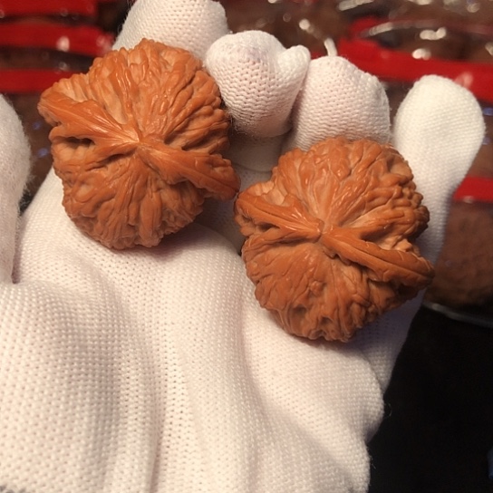 把件文玩核桃白狮子39