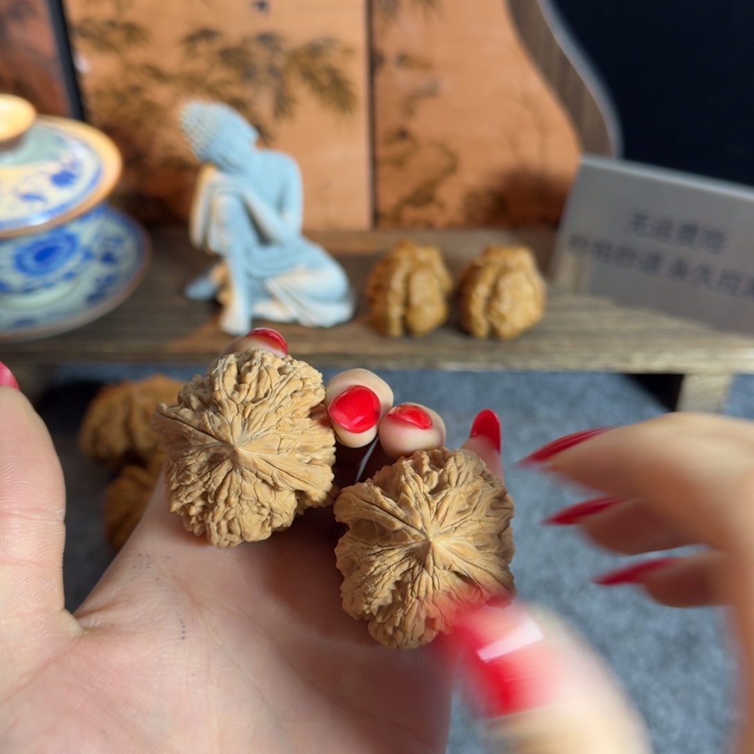 全品41.542大沽石骨质之王克重55