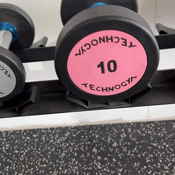 全新纯钢泰诺哑铃10公斤一对粉色