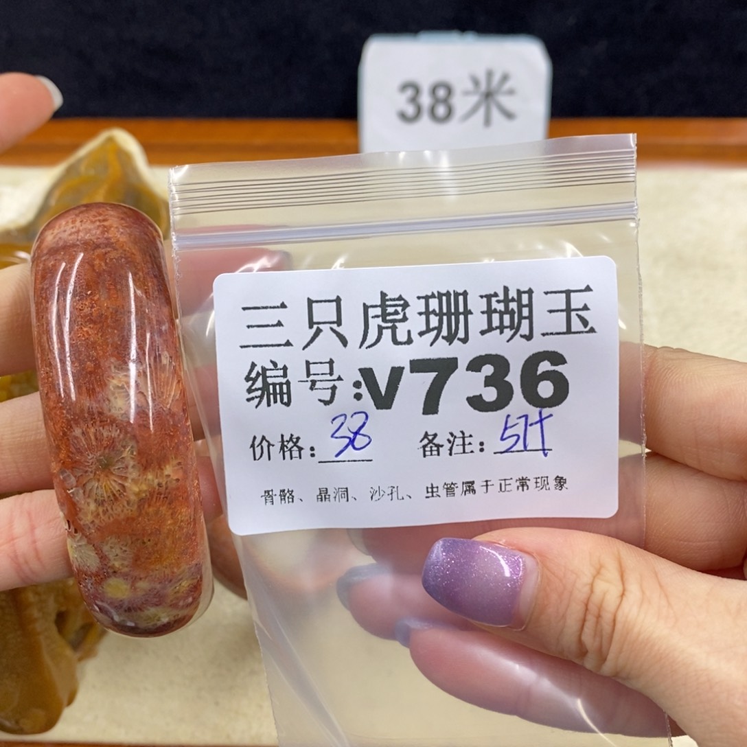 硅化珊瑚（珊瑚玉）未镶嵌1傲*