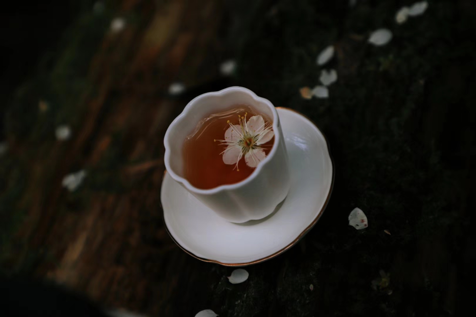 吾怡茶韵-兰底老枞
