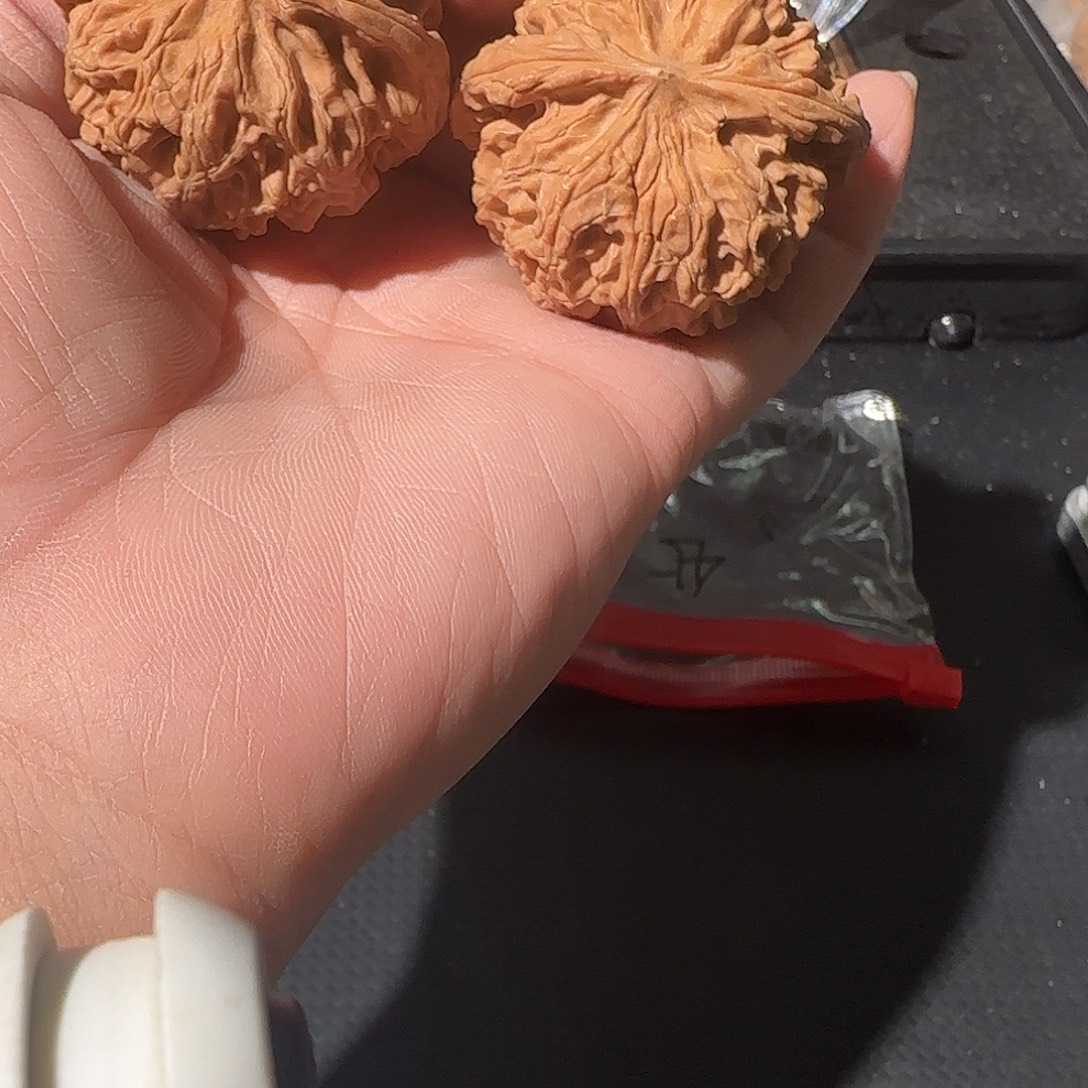 事***意文玩核桃吊坠苹果园 45尺