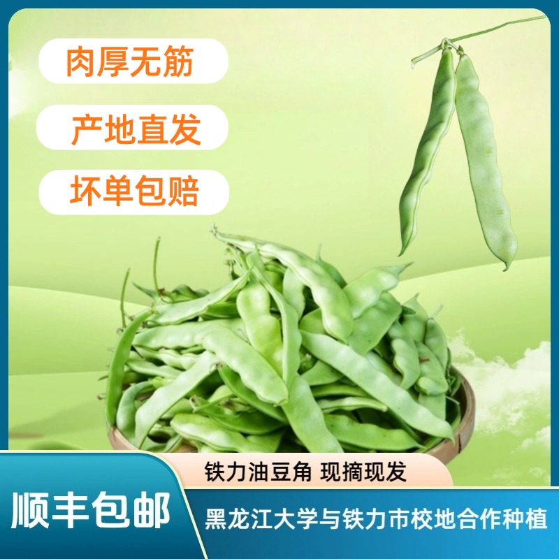 【顺丰包邮】黑龙江大学冯教授团队培育选育东北油豆角 现摘现发