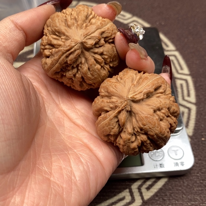 文玩核桃吊坠霸王龙全品43