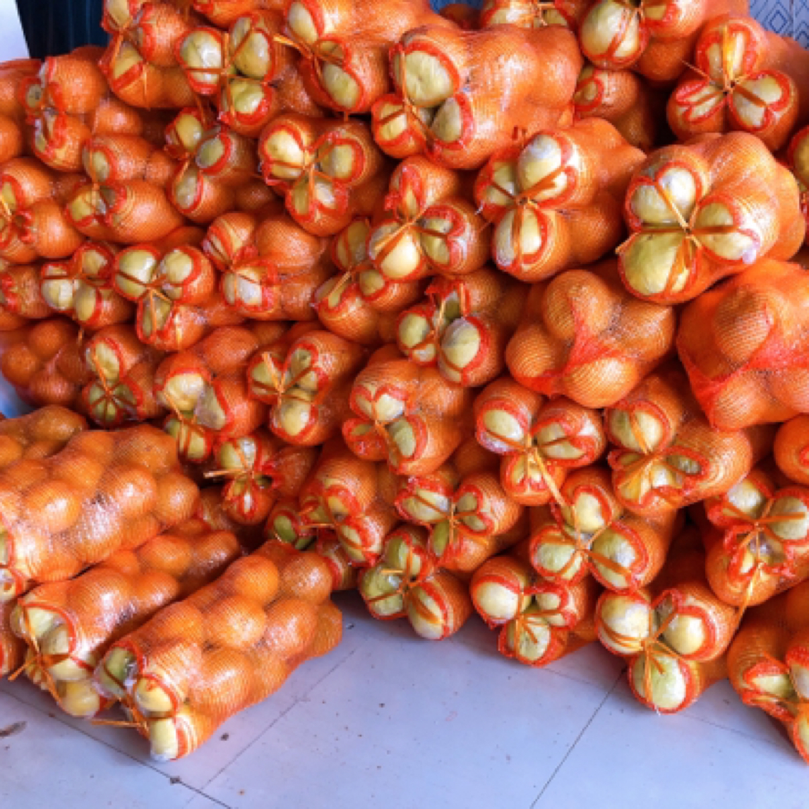 江永老树柚子65元一袋25斤左右