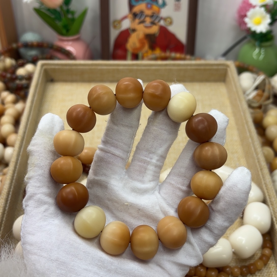 吊坠菩提根/象牙果18干磨瑕疵糖油鲨鱼背591