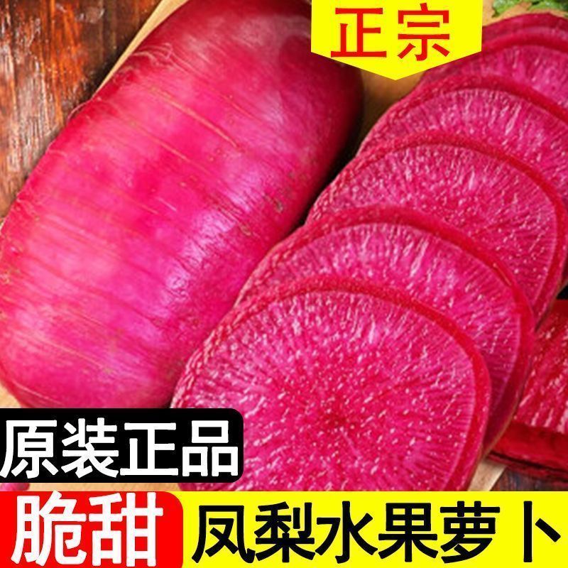 凤梨萝卜种子甜脆水果正品正宗萝卜籽阳台盆菜种孑蔬菜芦荟菜种子商品图