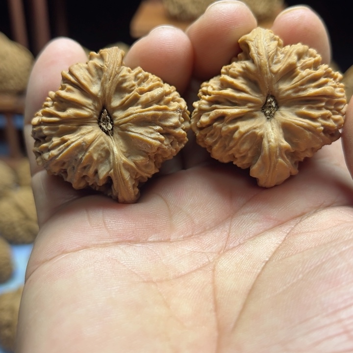 完全开放小**哥南疆石