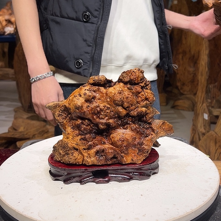 松木（琥珀木）刚*！