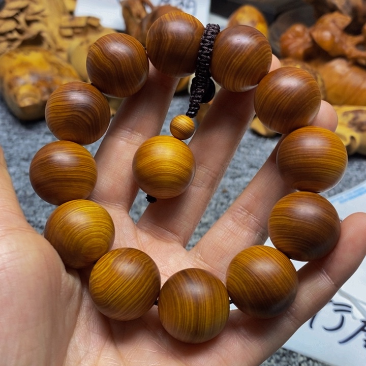 柏木（崖柏）崖柏18