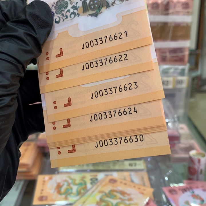 塑料龙钞无4四对子标十003376621