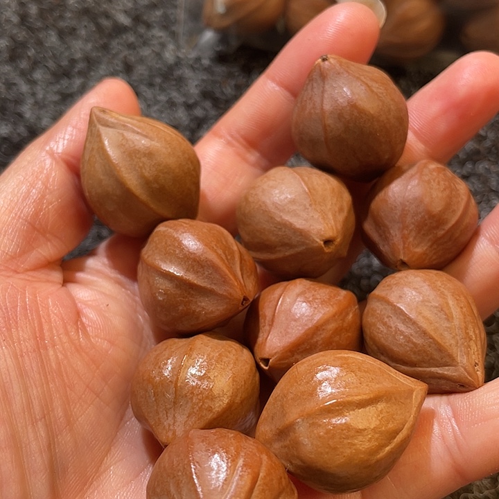 入***深橄榄核吊坠2,2✖️2.8