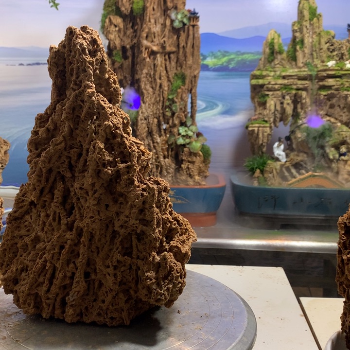 无花朵六*越来越好啦期待演员