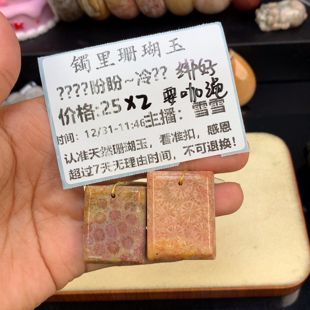 *****硅化珊瑚（珊瑚玉）未镶嵌颈饰