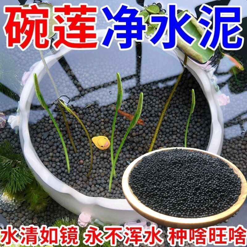 碗莲专用水草泥碗莲高肥力陶粒睡莲水培植物造景营养不臭水不浑水