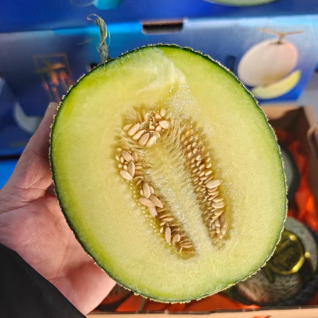 佳农蜜瓜白蓝瓜，皮色青白相间，仿若蓝空映雪瓜肉脆嫩 1.96kg