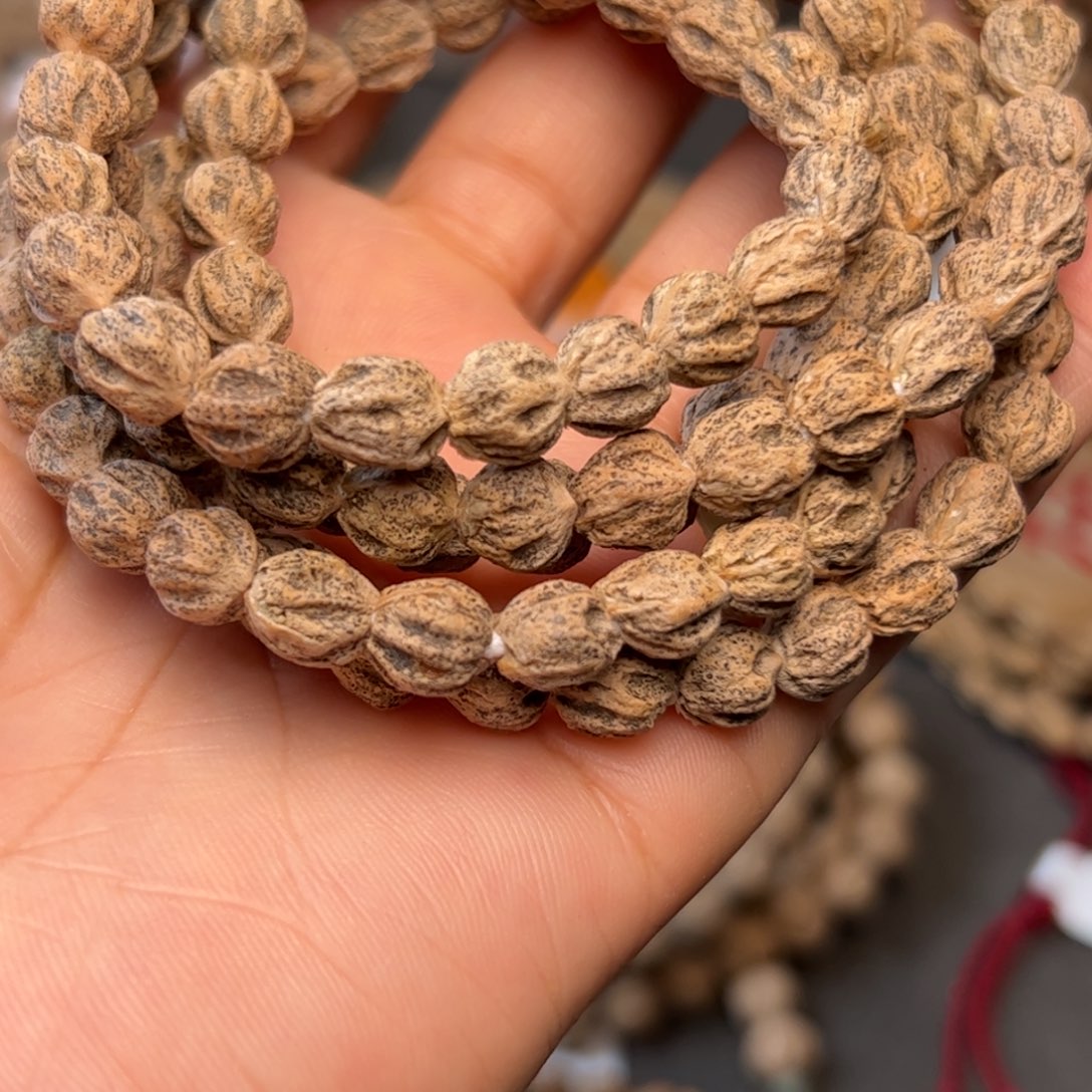 手串柏香籽/百香籽