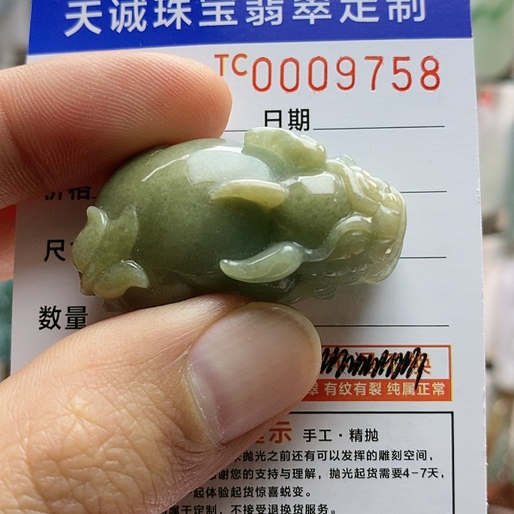 翡翠颈饰未镶嵌每天
