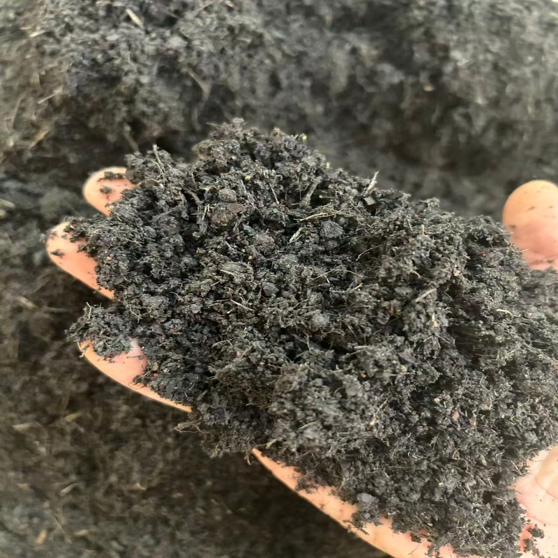 天南星科专用土优质泥炭土
