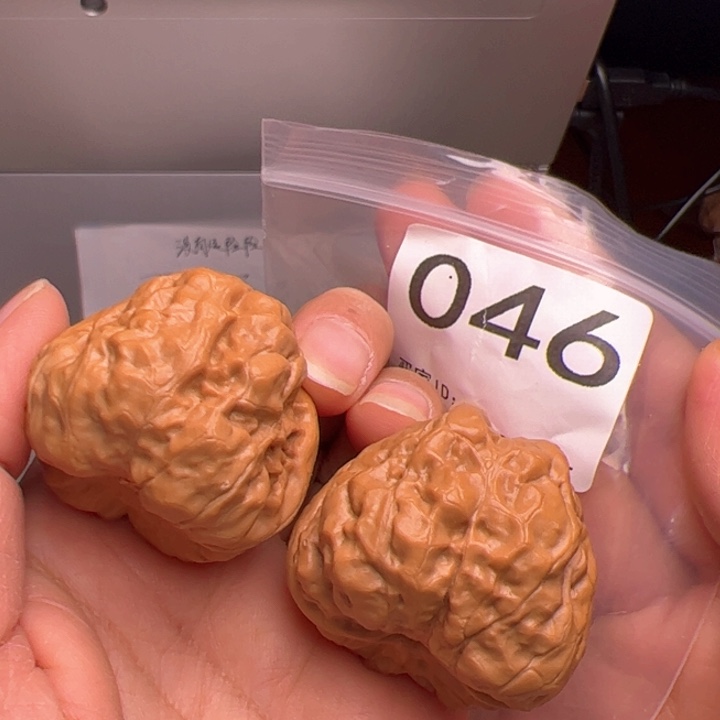 核桃蛙饼40尺046