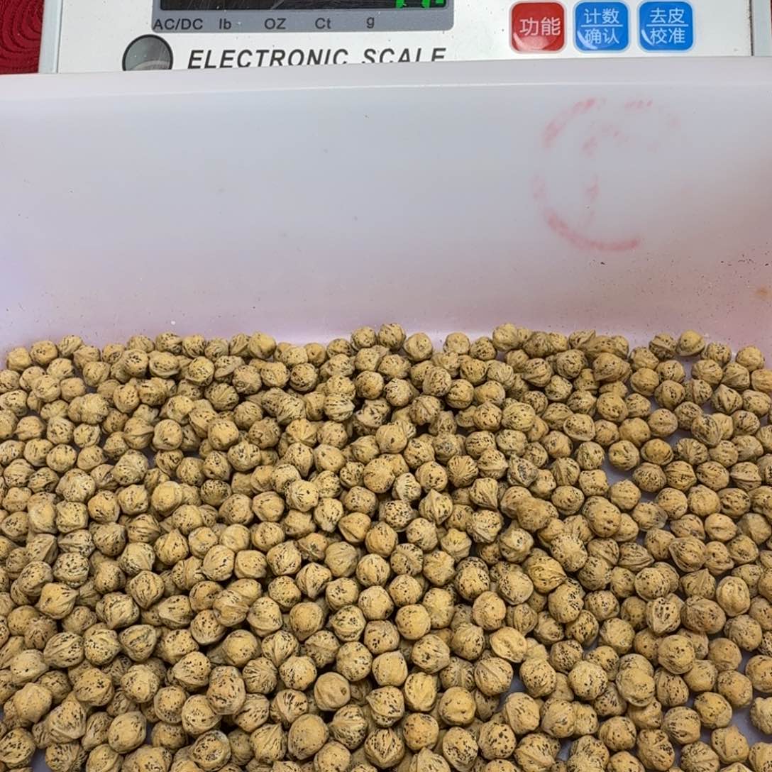 柏香籽/百香籽吊坠皮**翻