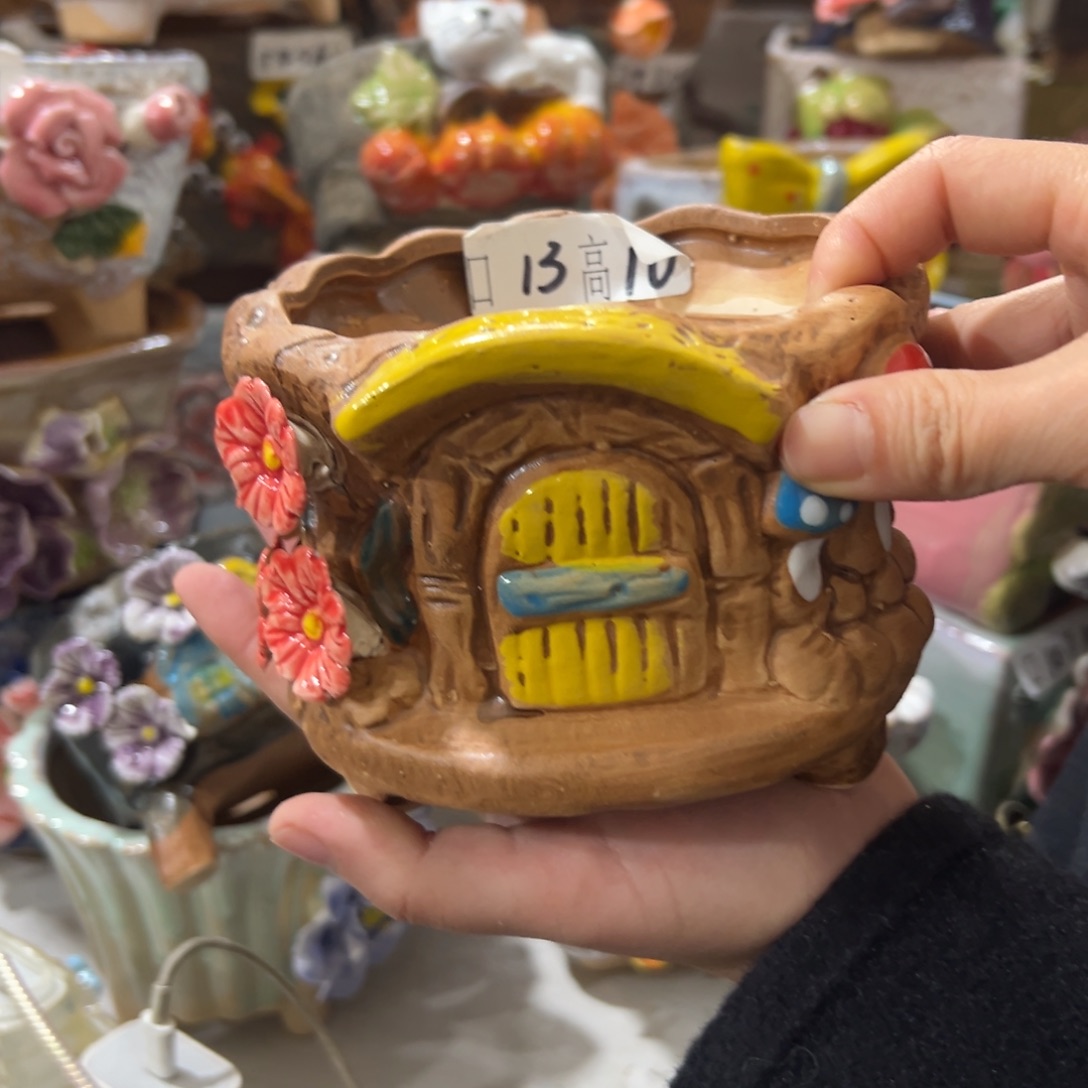 花盆，拍满20发货，退款拉黑