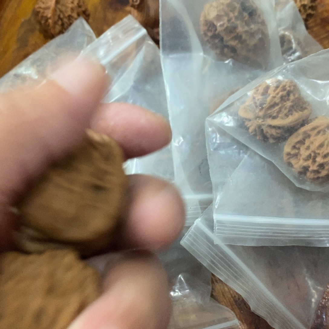 2****?秦岭山脉东段西行东