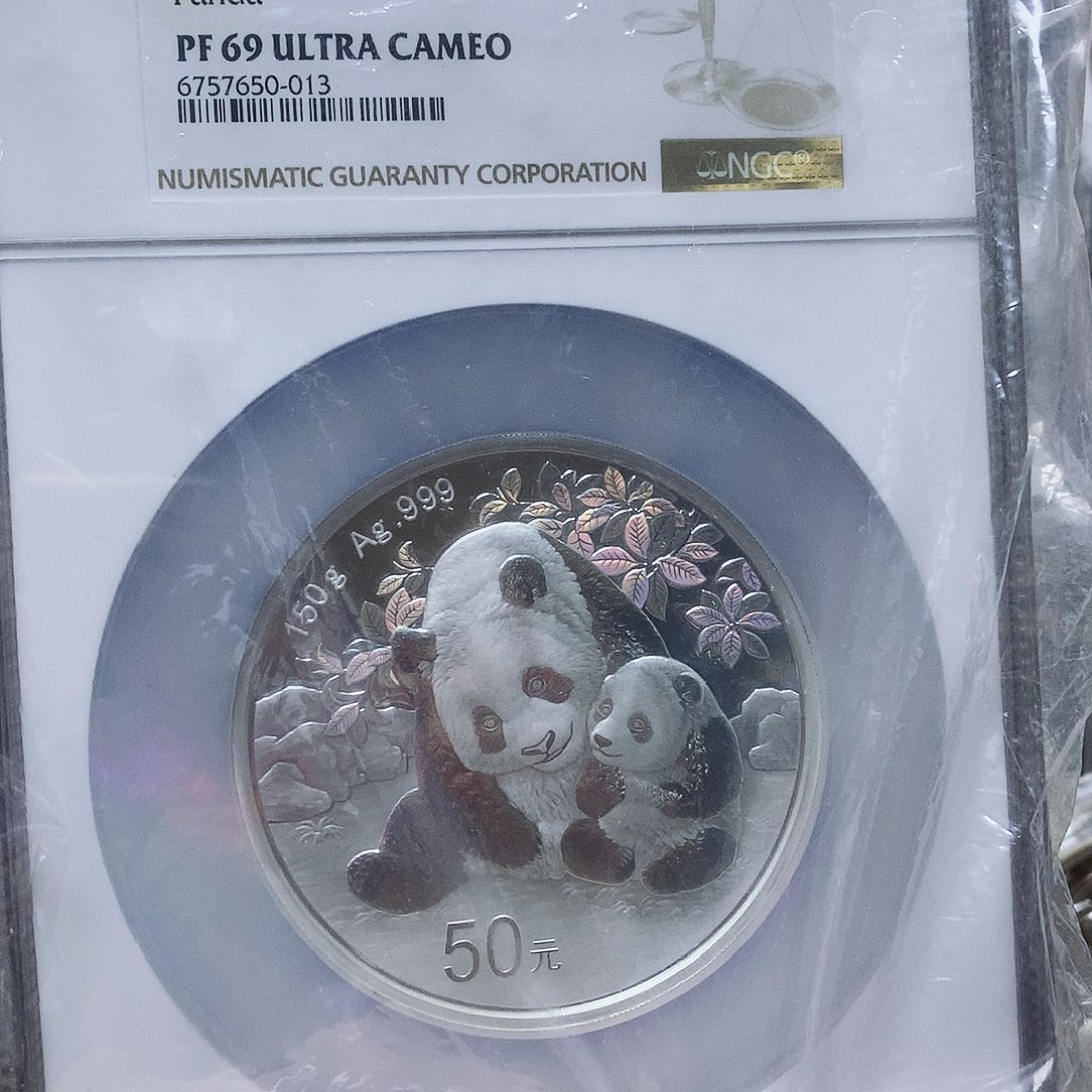 纯银24年熊猫150克银币69分