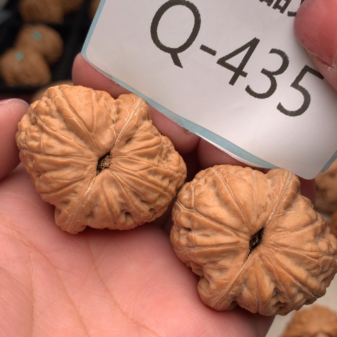 文玩核桃把件40元宝……..