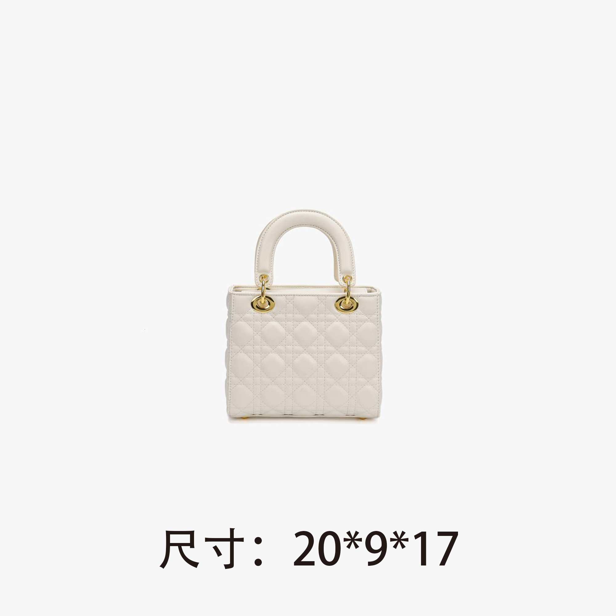 【D106】戴妃包-新款女包斜挎包百搭单肩包2519（尺寸20*9*17）