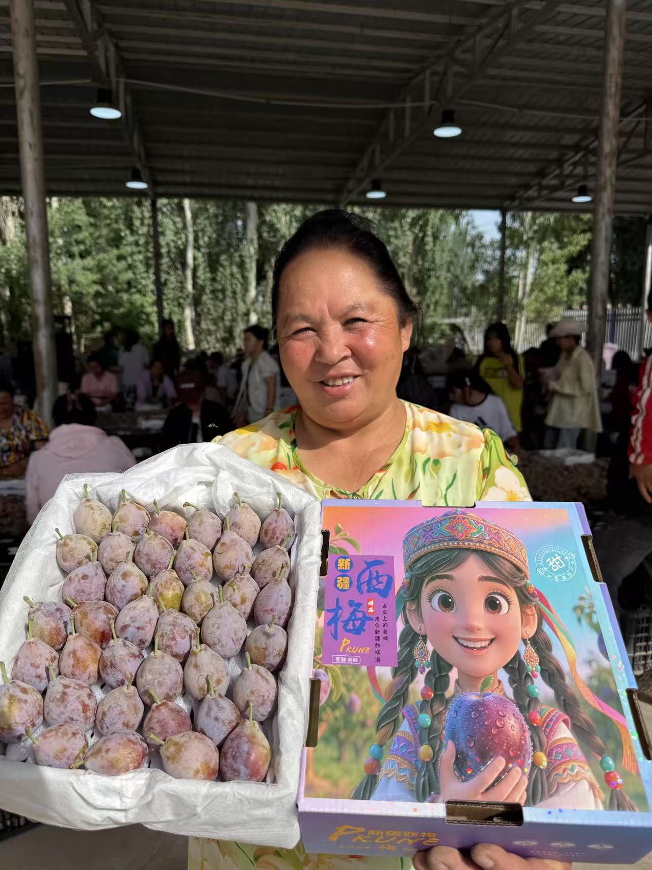 【顺丰冷链】新鲜应季正宗新疆西梅香甜可口产地喀什西安双仓发货