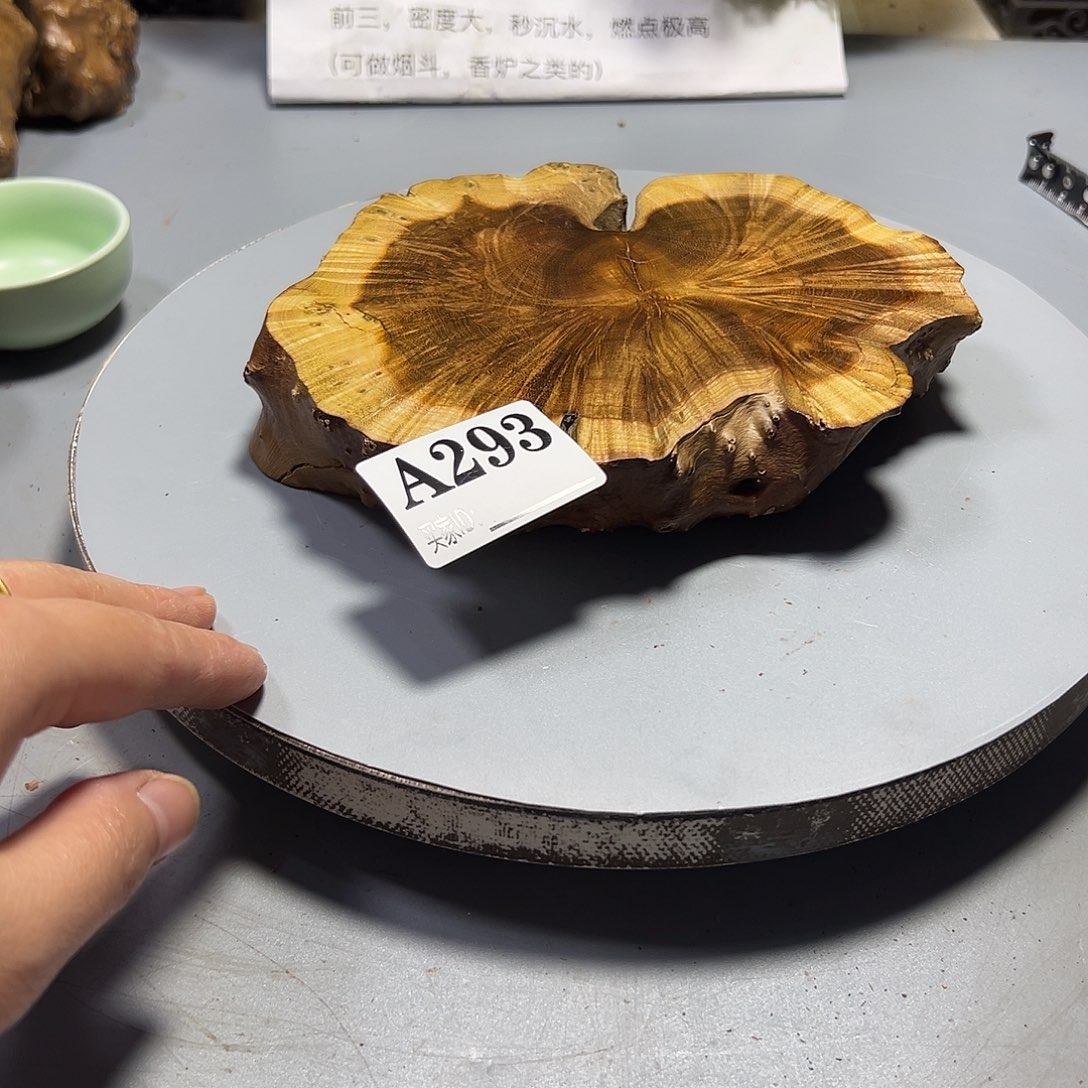 树***比大果紫檀（缅甸花梨）
