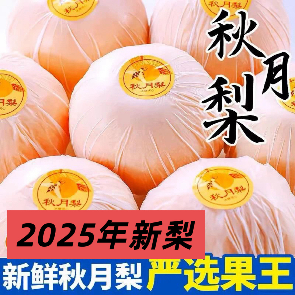 正宗秋月梨冰糖蜜梨3斤5斤10斤现摘现发新鲜当季水果包邮精品