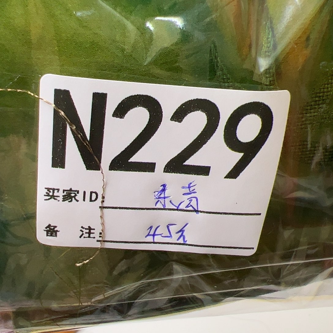 东***青229…….”yihoujiguoguoguogu