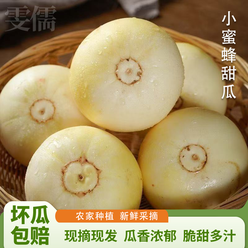 【劳模涛哥专属】山东小蜜蜂甜瓜小蜜罐早甜脆美味脆爽当季新鲜水果
