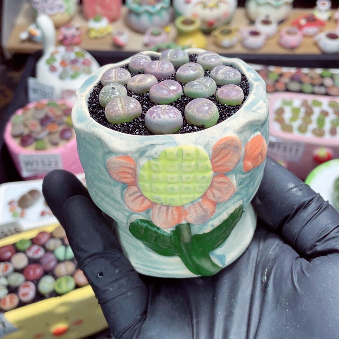 夜间零下地区拍保温箱w1533