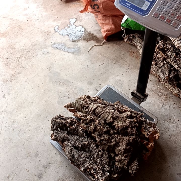 木一物一拍一物一发